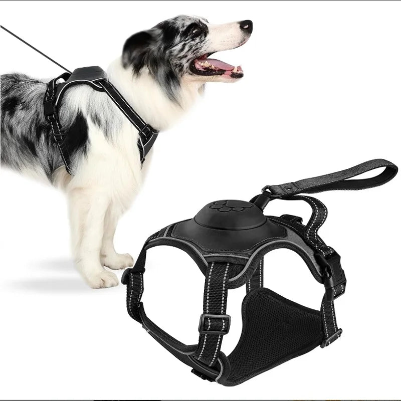 🐾Hauhau Pro mini Zestaw